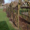 Willow and Tunnel Repair