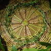 herb wheel green close up